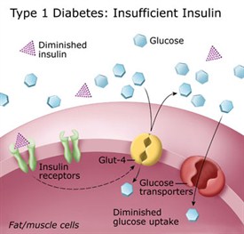 insufficient insulin